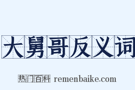 大舅哥反义词是什么意思的图片